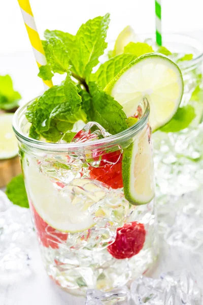 Wasser aus biologischen Zitrusfrüchten und Beeren. — Stockfoto