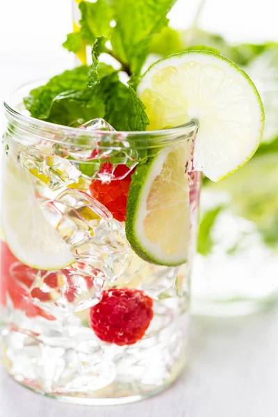 Wasser aus biologischen Zitrusfrüchten und Beeren. — Stockfoto