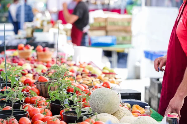 Sommerbauernmarkt in der Hauptstraße — Stockfoto