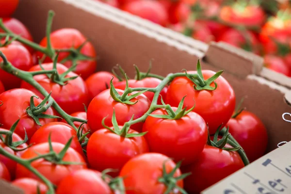 Tomaten auf Bauernmarkt in der Hauptstraße geparkt — Stockfoto