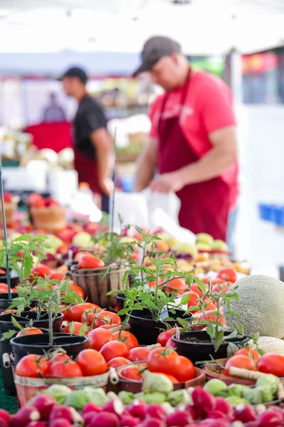 Mercado de agricultores de verão na Main Street em Parker — Fotografia de Stock