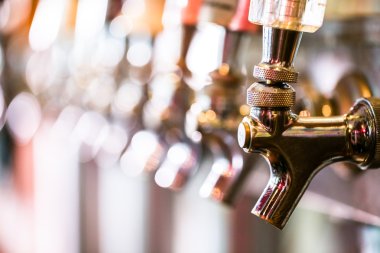 Taslak bira hatları