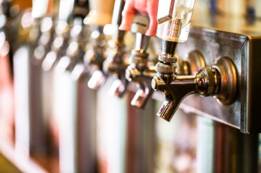 Taslak bira hatları