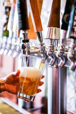 Barmen dökme taslak bira