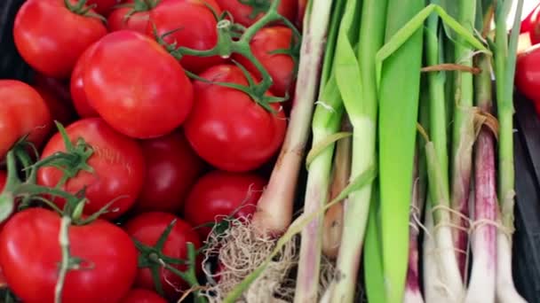 Sommerbauernmarkt in der Hauptstraße — Stockvideo