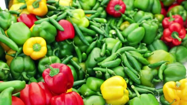 Marché d'été des agriculteurs sur Main Street à Parker — Video