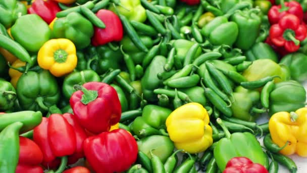 Mercado de agricultores de verano en Main Street en Parker — Vídeos de Stock