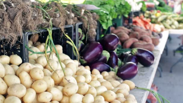 Sommar jordbrukarna marknaden på Main Street i Parker — Stockvideo