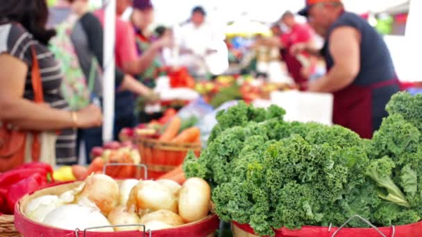 Mercado de agricultores de verano en Main Street en Parker — Vídeos de Stock