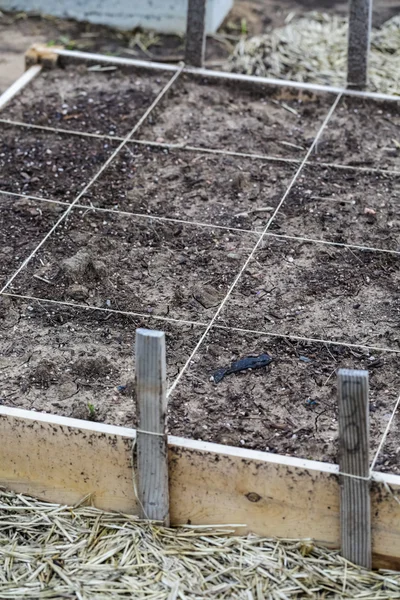 Plantering i urban garden. — Stockfoto