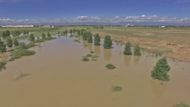 Aerial view of Colorado river — Stock Video