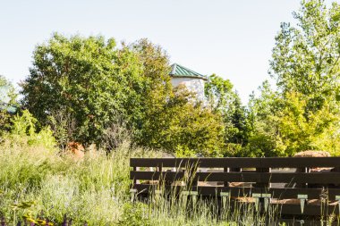 kentsel sebze bahçesi.