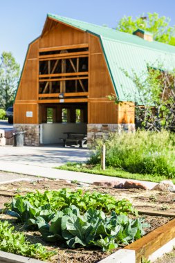 Erken yaz aylarında kentsel sebze bahçesi.