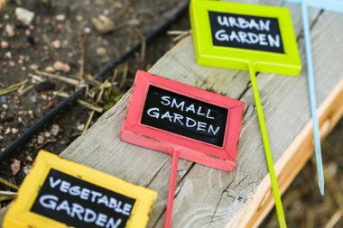 Colorful garden tags
