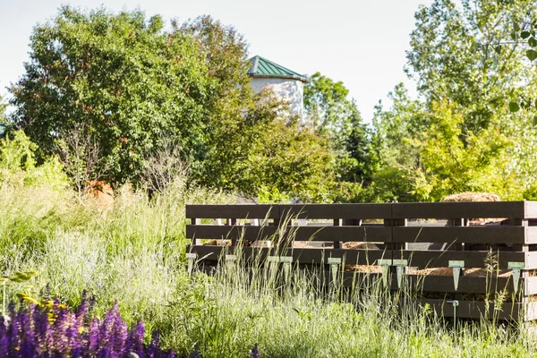 Urban vegetable garden. — Stock Photo, Image