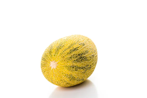 Ganze persische Bio-Melone — Stockfoto