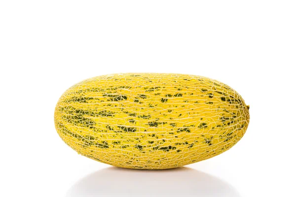 Hele organische Perzische meloen — Stockfoto