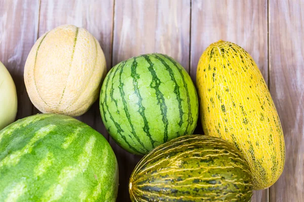 Vielfalt an Bio-Melonen — Stockfoto