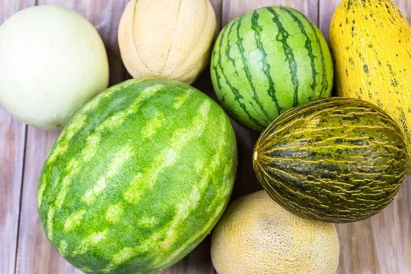 Vielfalt an Bio-Melonen — Stockfoto