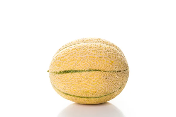 Hele organische meloen — Stockfoto