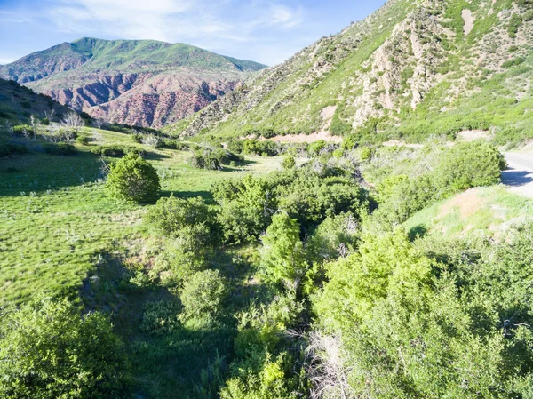 Güney Kanyonu Creek — Stok fotoğraf