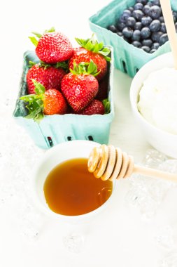Ingredients for smoothie with plain yogurt and berries