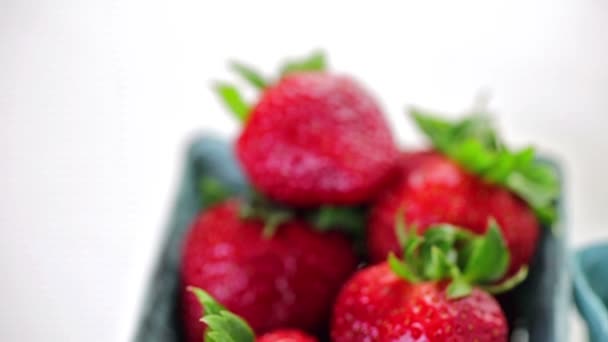 Fresas y arándanos orgánicos frescos — Vídeos de Stock