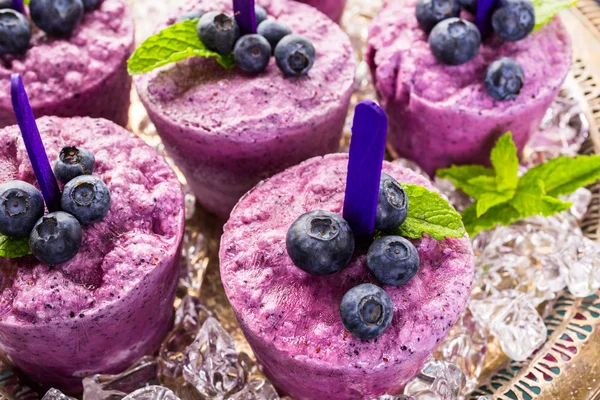 Paletas de arándanos caseras — Foto de Stock