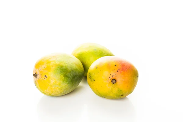 Taze organik Mango — Stok fotoğraf