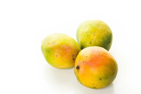Taze organik Mango — Stok fotoğraf