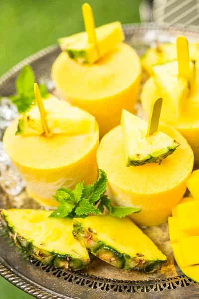 Ghiaccioli di mango, ananas e latte di cocco — Foto Stock