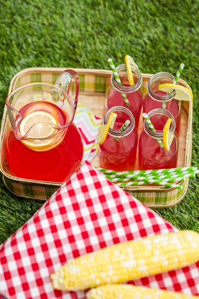 Limonata al picnic estivo — Foto Stock