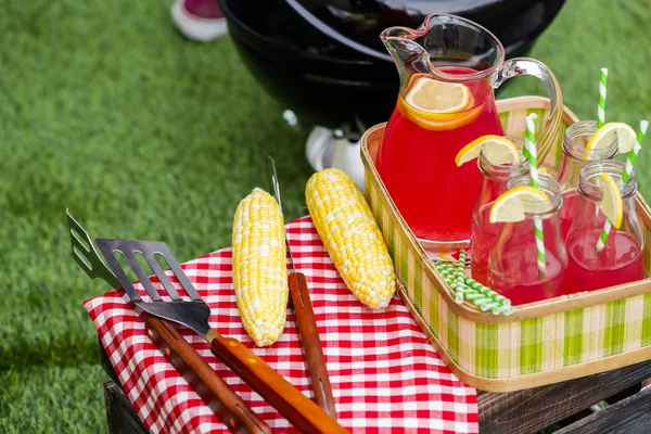 Picnic estivo con limonata — Foto Stock