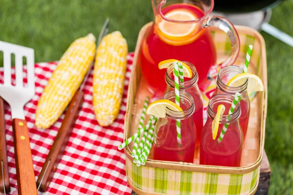 Summer picnic with lemonade — Stock Photo, Image