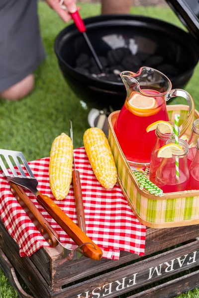 Picnic estivo con limonata — Foto Stock