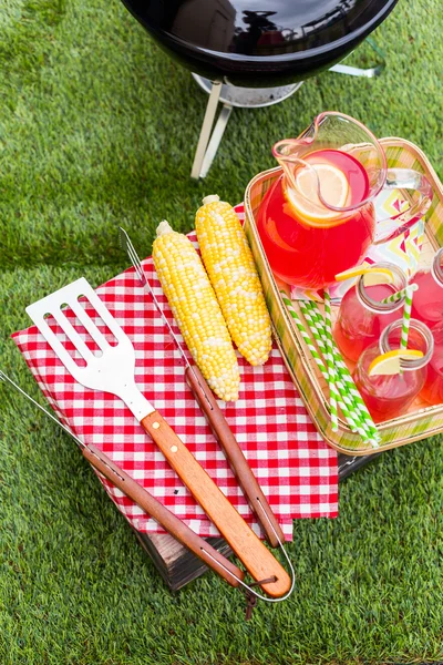 Summer picnic with lemonade — Stock Photo, Image