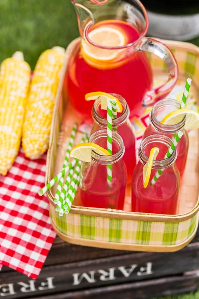 Sommar picknick med saft — Stockfoto