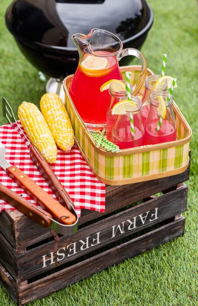 Piquenique de verão com limonada — Fotografia de Stock