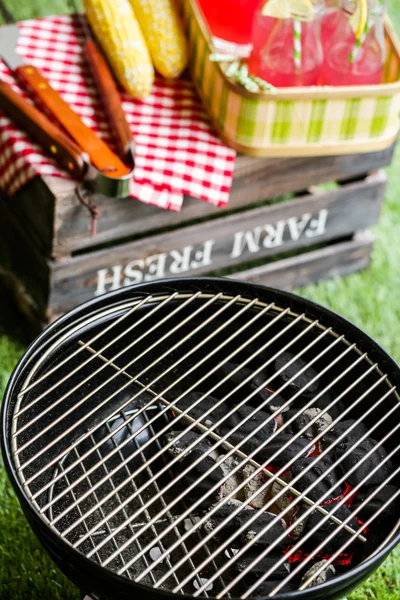 Pequeña parrilla de carbón en el parque . —  Fotos de Stock