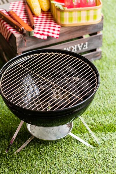Petit barbecue au charbon dans le parc . — Photo