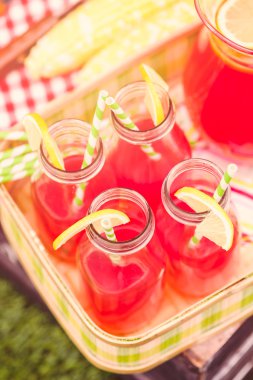 Limonata içecekler yaz pikniği