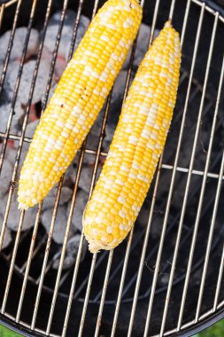 Mısır ile küçük yaz pikniği