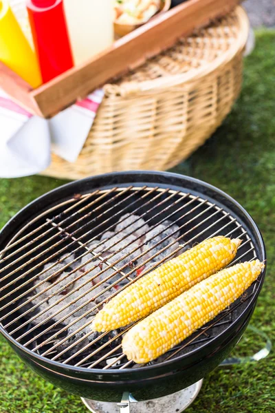 Malé letní piknik s kukuřicí — Stock fotografie