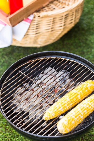 Lille sommer picnic med majs - Stock-foto