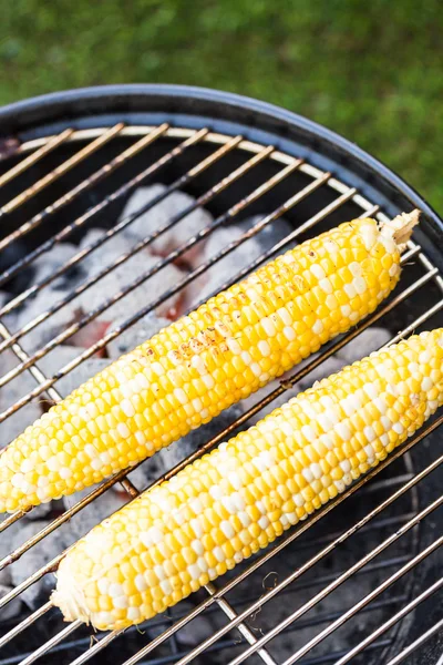 Letni mały piknik z kukurydzy — Zdjęcie stockowe