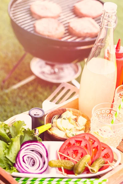 Small summer picnic with lemonade — Stock Photo, Image