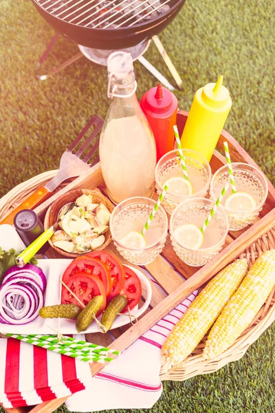 Small summer picnic with lemonade — Stock Photo, Image