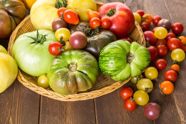 Tomates de relíquia recém-colhidos — Fotografia de Stock