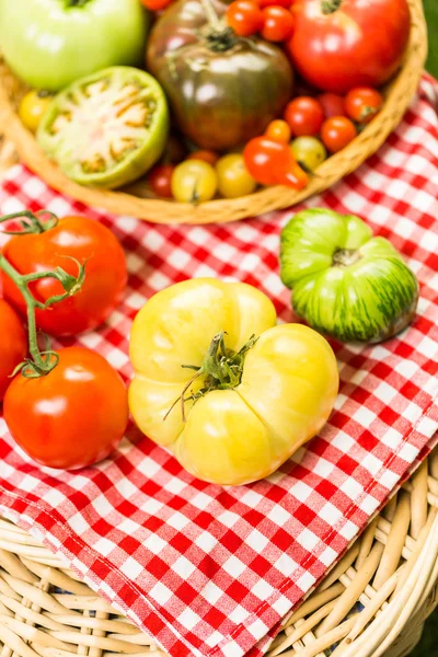 Nyplockade tomater släktklenod — Stockfoto