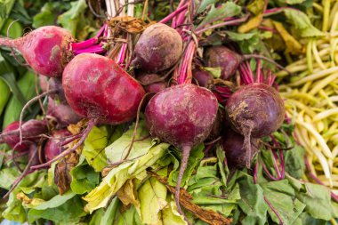 Yaz çiftçilere piyasa